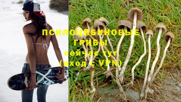 гидра Покров